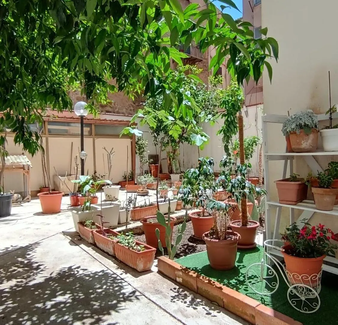 Tati\'S Garden location
