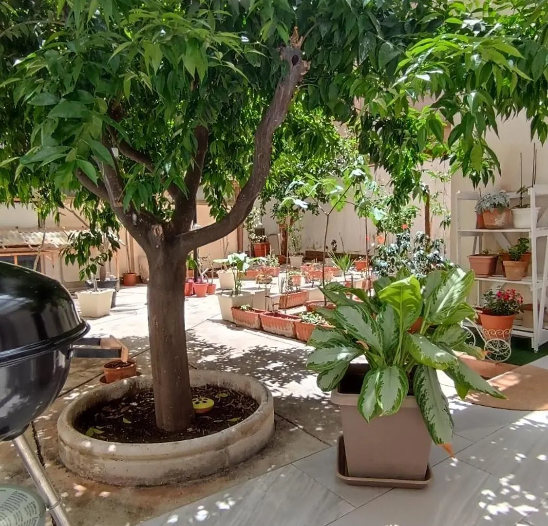 Tati'S Garden Hotel Palermo Italien